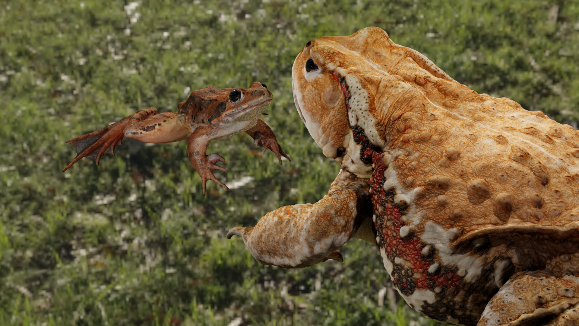 2 Realistic Frogs (Rigged) preview image 1